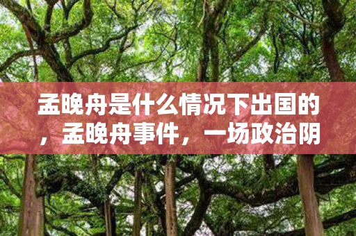 孟晚舟是什么情况下出国的，孟晚舟事件，一场政治阴谋下的个人挑战