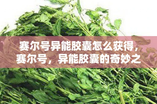 赛尔号异能胶囊怎么获得，赛尔号，异能胶囊的奇妙之旅