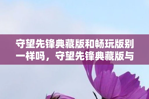 守望先锋典藏版和畅玩版别一样吗，守望先锋典藏版与畅玩版，收藏与游戏的双重盛宴