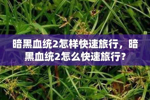 暗黑血统2怎样快速旅行，暗黑血统2怎么快速旅行？