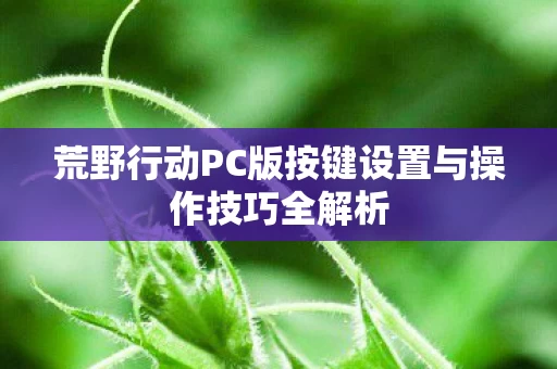 荒野行动PC版按键设置与操作技巧全解析图片