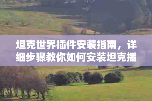 详细步骤教你如何安装坦克插件图片