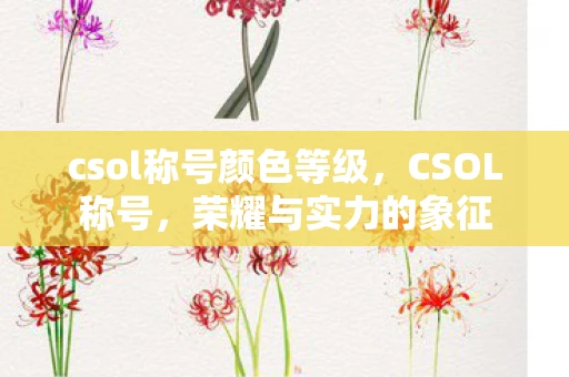 csol称号颜色等级，CSOL称号，荣耀与实力的象征
