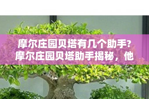 摩尔庄园贝塔有几个助手?摩尔庄园贝塔助手揭秘，他们究竟有几个？