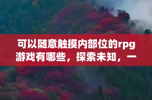 可以随意触摸内部位的rpg游戏有哪些，探索未知，一款可自由触摸内部位的RPG游戏