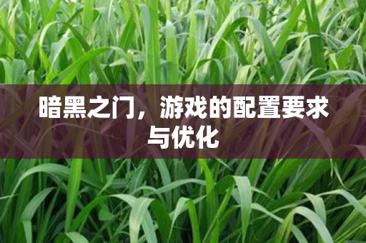 游戏的配置要求与优化图片