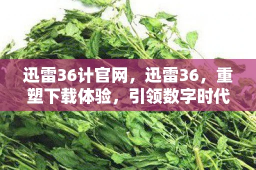 迅雷36计官网,迅雷36,重塑下载体验,引领数字时代新潮流 迅雷36计官网,迅雷36,重塑下载体验,引领数字时代新潮流