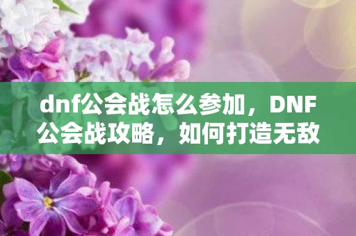 dnf公会战怎么参加，DNF公会战攻略，如何打造无敌公会战队