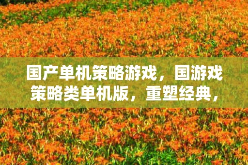 国产单机策略游戏，国游戏策略类单机版，重塑经典，挑战智慧极限