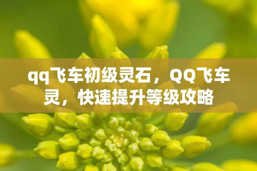 qq飞车初级灵石，QQ飞车灵，快速提升等级攻略