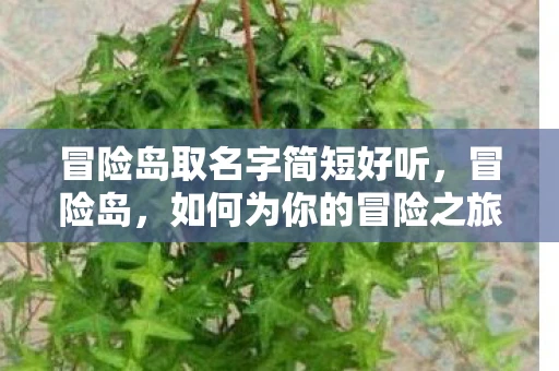 冒险岛取名字简短好听,冒险岛,如何为你的冒险之旅取个好名字 冒险岛取名字简短好听,冒险岛,如何为你的冒险之旅取个好名字