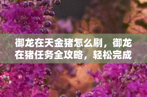 御龙在天金猪怎么刷，御龙在猪任务全攻略，轻松完成，赢取丰厚奖励！