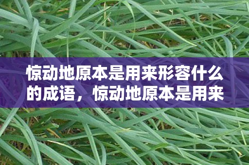 惊动地原本是用来形容什么的成语，惊动地原本是用来形容什么