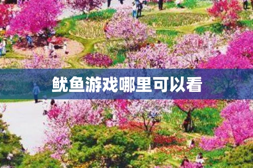 鱿鱼游戏哪里可以看