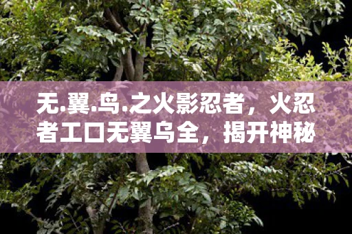 无.翼.鸟.之火影忍者，火忍者工口无翼乌全，揭开神秘面纱