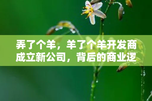 弄了个羊，羊了个羊开发商成立新公司，背后的商业逻辑与未来展望