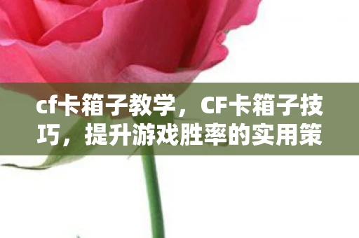cf卡箱子教学，CF卡箱子技巧，提升游戏胜率的实用策略