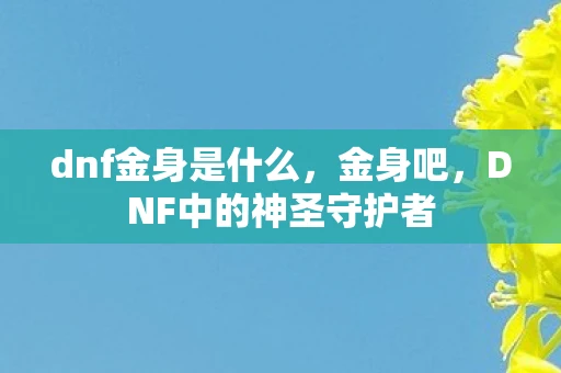 dnf金身是什么，金身吧，DNF中的神圣守护者