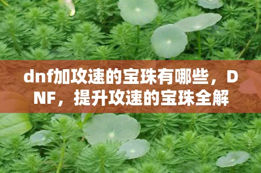 dnf加攻速的宝珠有哪些,DNF,提升攻速的宝珠全解析 dnf加攻速的宝珠有哪些,DNF,提升攻速的宝珠全解析