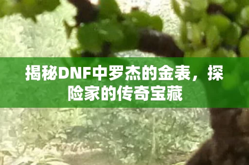 揭秘DNF中罗杰的金表图片