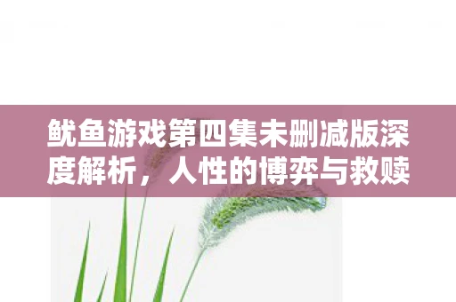 鱿鱼游戏第四集未删减版深度解析，人性的博弈与救赎