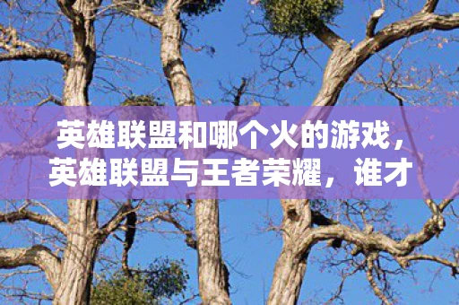 英雄联盟和哪个火的游戏,英雄联盟与王者荣耀,谁才是移动电竞的王者? 英雄联盟和哪个火的游戏,英雄联盟与王者荣耀,谁才是移动电竞的王者?