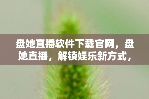 盘她直播软件下载官网,盘她直播,解锁娱乐新方式,一键下载开启精彩直播之旅 盘她直播软件下载官网,盘她直播,解锁娱乐新方式,一键下载开启精彩直播之旅