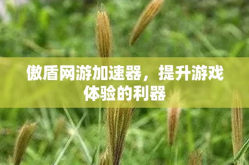 提升游戏体验的利器图片