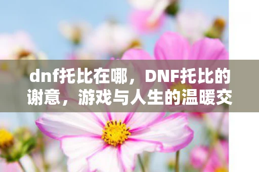dnf托比在哪，DNF托比的谢意，游戏与人生的温暖交织