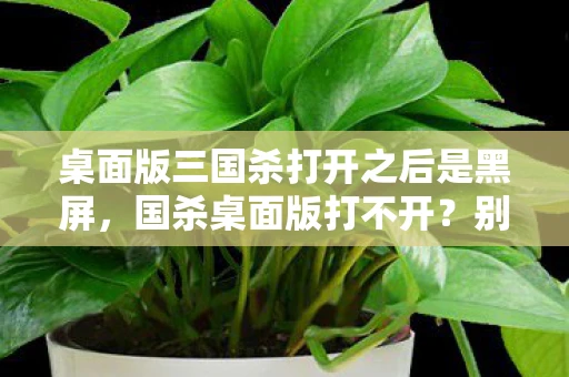 桌面版三国杀打开之后是黑屏，国杀桌面版打不开？别急，这里有解决办法！