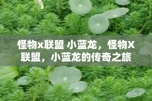 怪物x联盟 小蓝龙，怪物X联盟，小蓝龙的传奇之旅