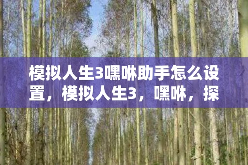 模拟人生3嘿咻助手怎么设置，模拟人生3，嘿咻，探索虚拟世界的奇妙之旅