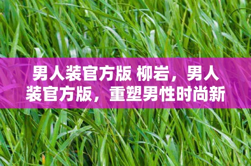 男人装官方版 柳岩，男人装官方版，重塑男性时尚新标准