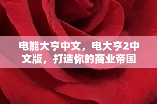 电能大亨中文，电大亨2中文版，打造你的商业帝国