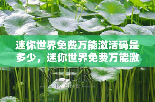 迷你世界免费万能激活码是多少，迷你世界免费万能激活码，解锁无限可能的创意世界