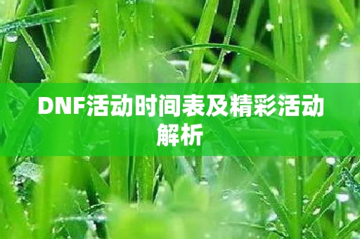 DNF活动时间表及精彩活动解析图片