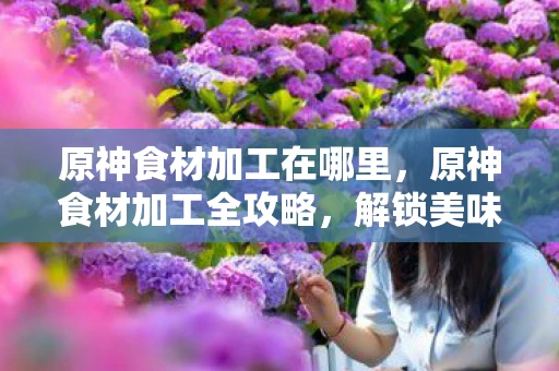 原神食材加工在哪里，原神食材加工全攻略，解锁美味料理的秘诀