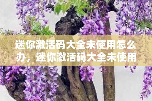 迷你激活码大全未使用怎么办，迷你激活码大全未使用