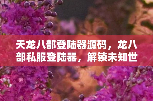 天龙八部登陆器源码，龙八部私服登陆器，解锁未知世界的神秘钥匙