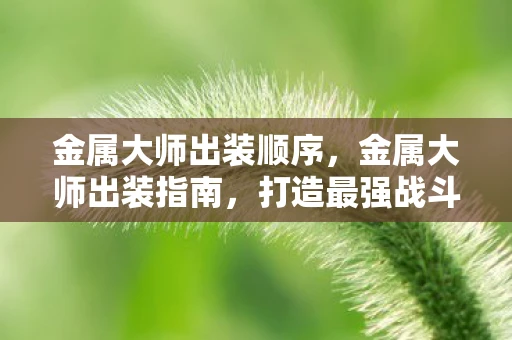 金属大师出装顺序,金属大师出装指南,打造最强战斗力的关键步骤 金属大师出装顺序,金属大师出装指南,打造最强战斗力的关键步骤