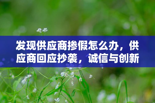 发现供应商掺假怎么办，供应商回应抄袭，诚信与创新是企业发展的基石