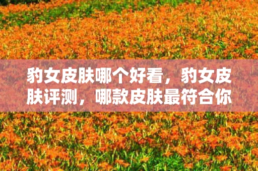 豹女皮肤哪个好看，豹女皮肤评测，哪款皮肤最符合你的口味？