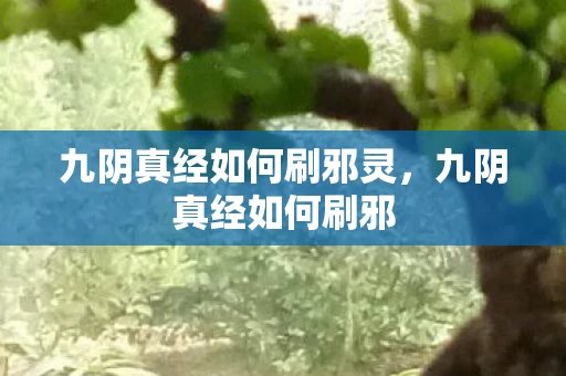 九阴真经如何刷邪灵，九阴真经如何刷邪