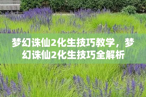 梦幻诛仙2化生技巧教学，梦幻诛仙2化生技巧全解析