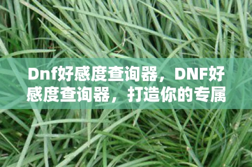 Dnf好感度查询器，DNF好感度查询器，打造你的专属NPC互动攻略