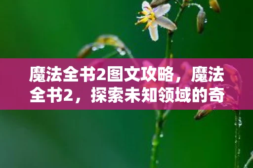 魔法全书2图文攻略，魔法全书2，探索未知领域的奇幻之旅