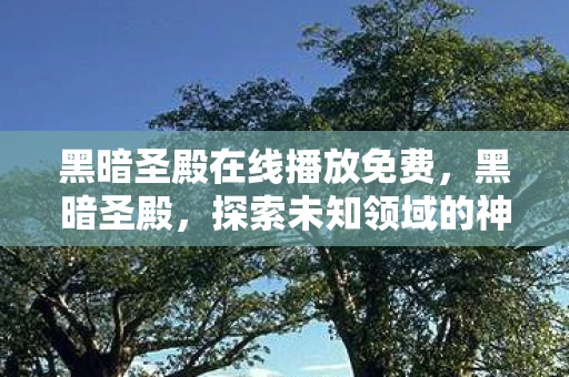 黑暗圣殿在线播放免费，黑暗圣殿，探索未知领域的神秘之旅