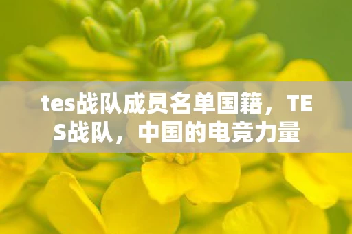 tes战队成员名单国籍，TES战队，中国的电竞力量