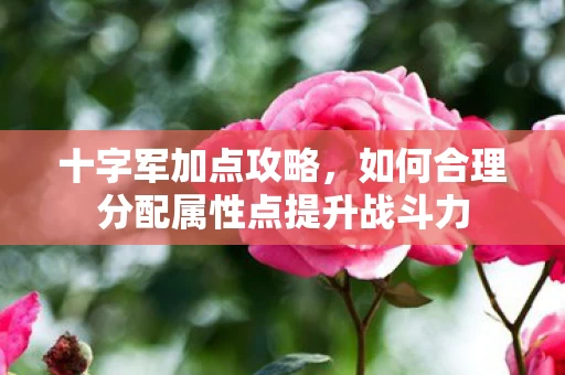 如何合理分配属性点提升战斗力图片