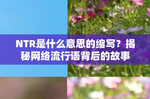 NTR是什么意思的缩写？揭秘网络流行语背后的故事